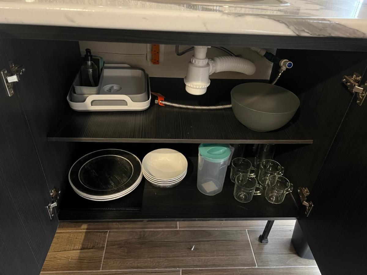 Hotel Tia Flora レオン エクステリア 写真