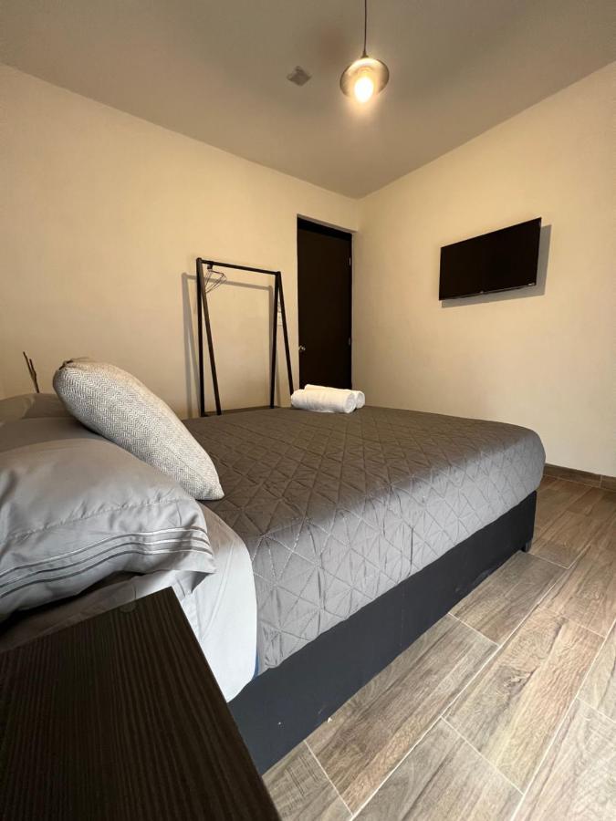 Hotel Tia Flora レオン エクステリア 写真