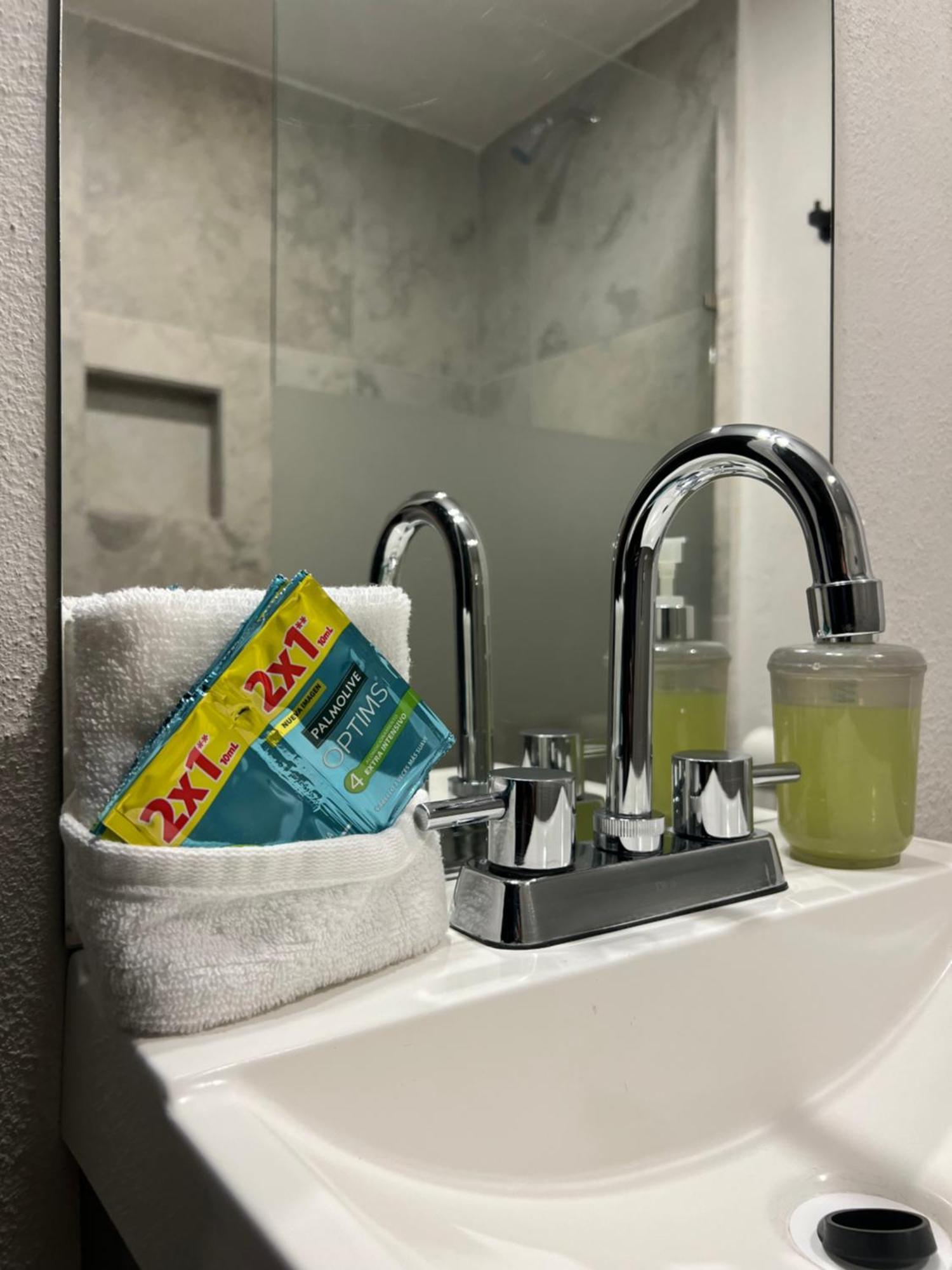 Hotel Tia Flora レオン エクステリア 写真